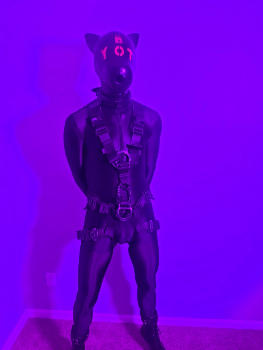 gallery-01-purple-full-body